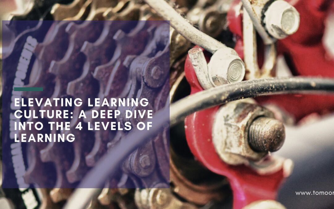 Accelerating Leadership Development: Bateson’s levels of learning